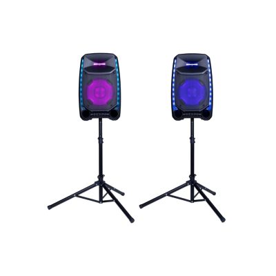 Speaker Rental | Basic Audio Package with 2 high-powered speakers, stands, and wireless microphones.